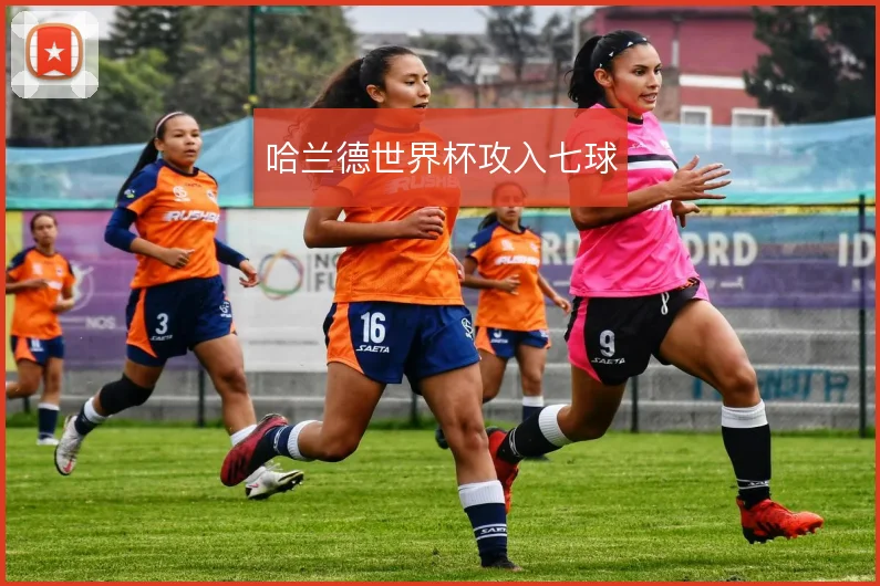 哈兰德世界杯攻入七球