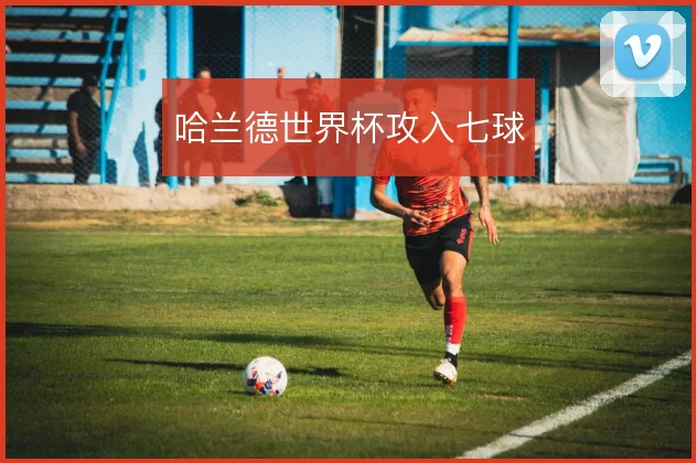 哈兰德世界杯攻入七球